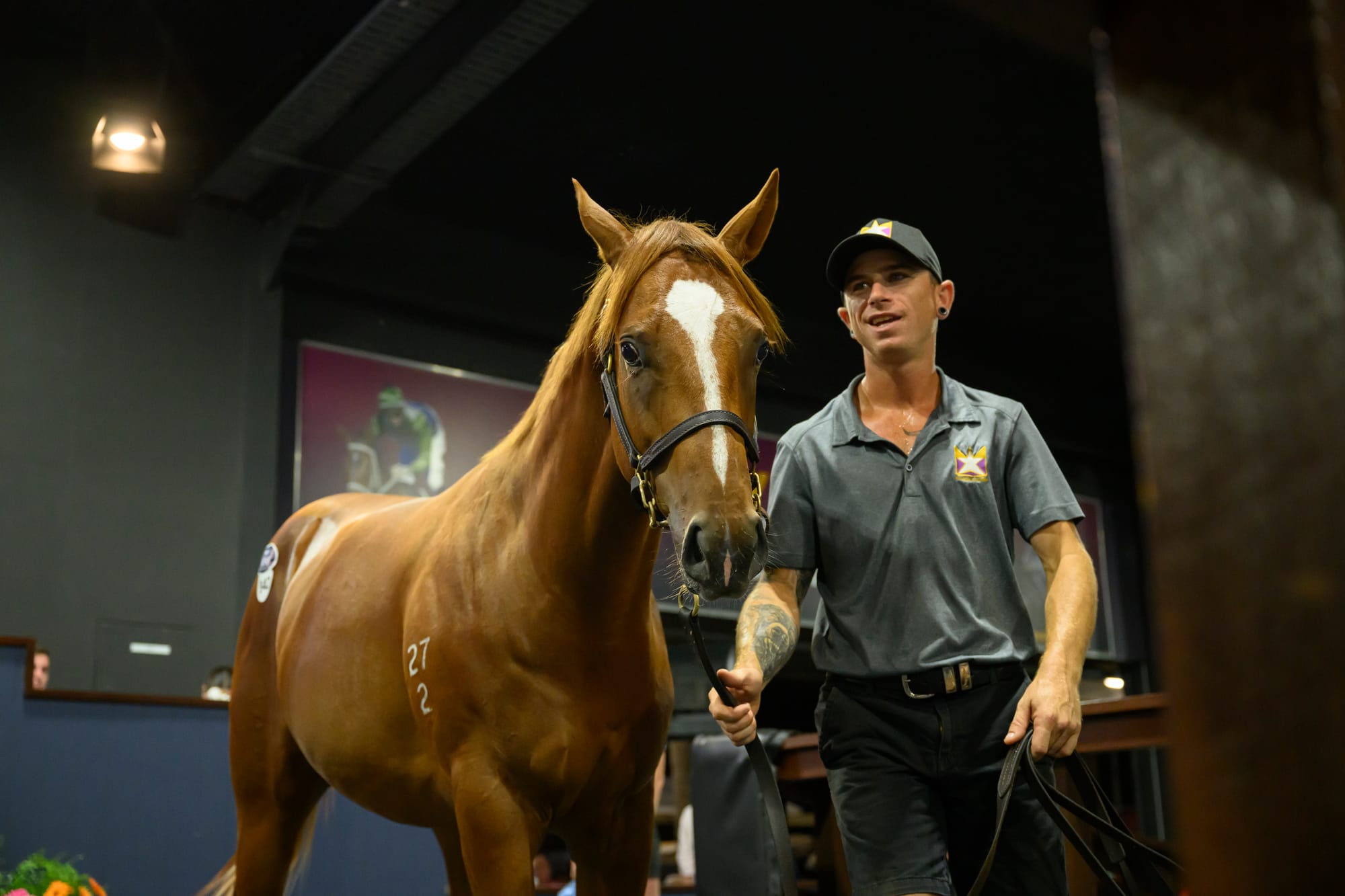 Lot 942, the $1.4 million colt by Extreme Choice