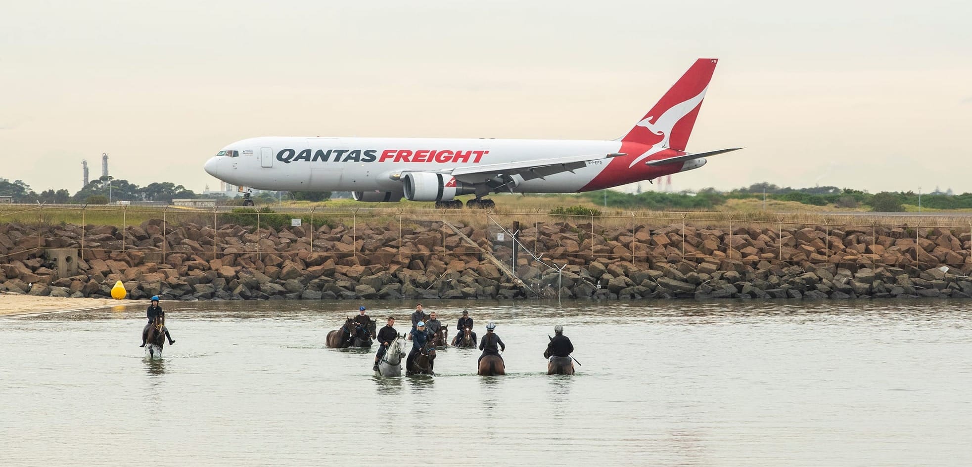 Cameron Croucher's equine freight business.