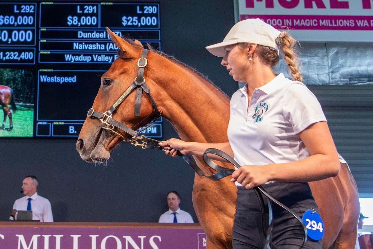 Run The Numbers The hole in the Australian yearling market