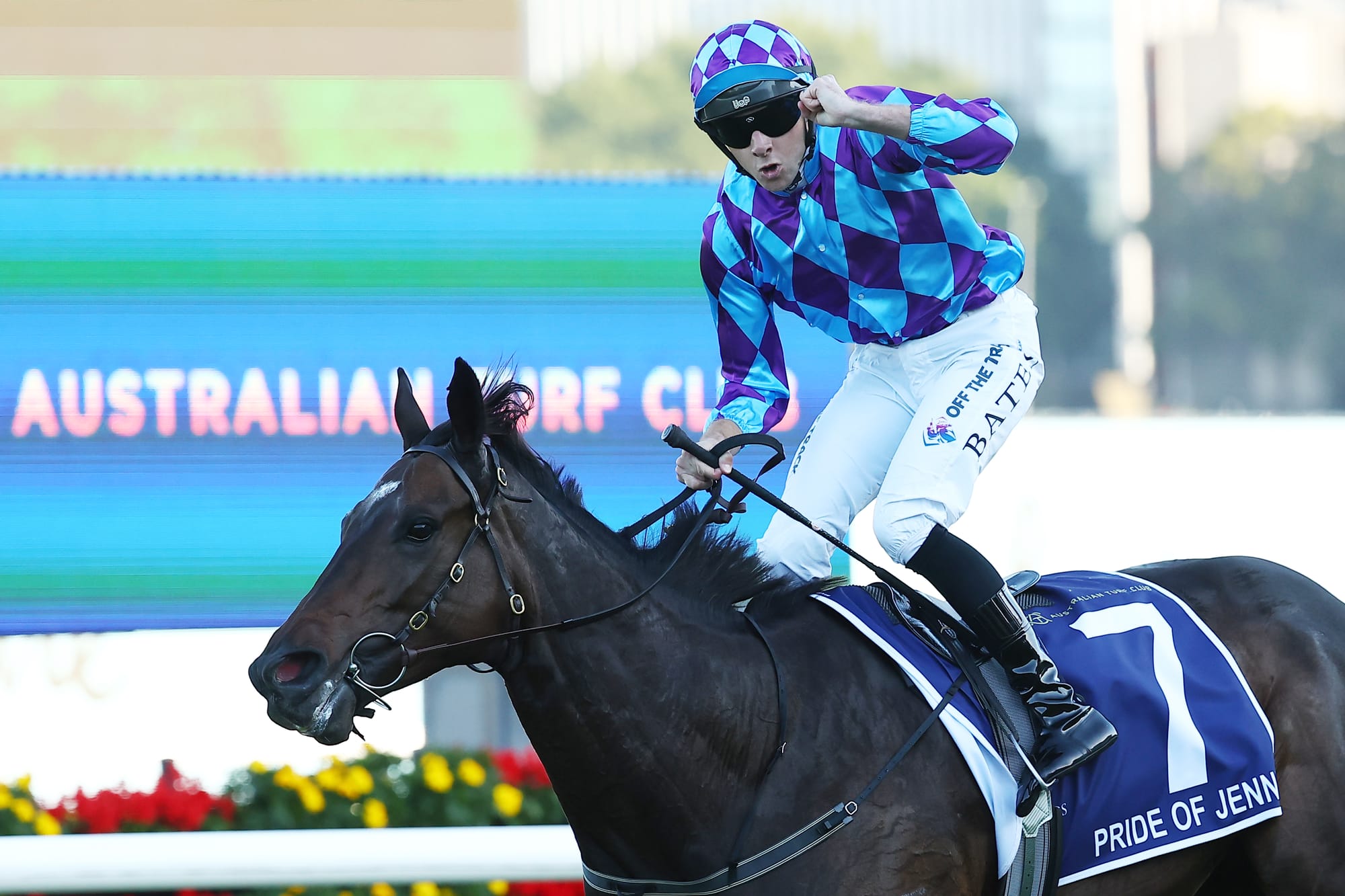 Pride Of Jenni winning the Queen Elizabeth Stakes.