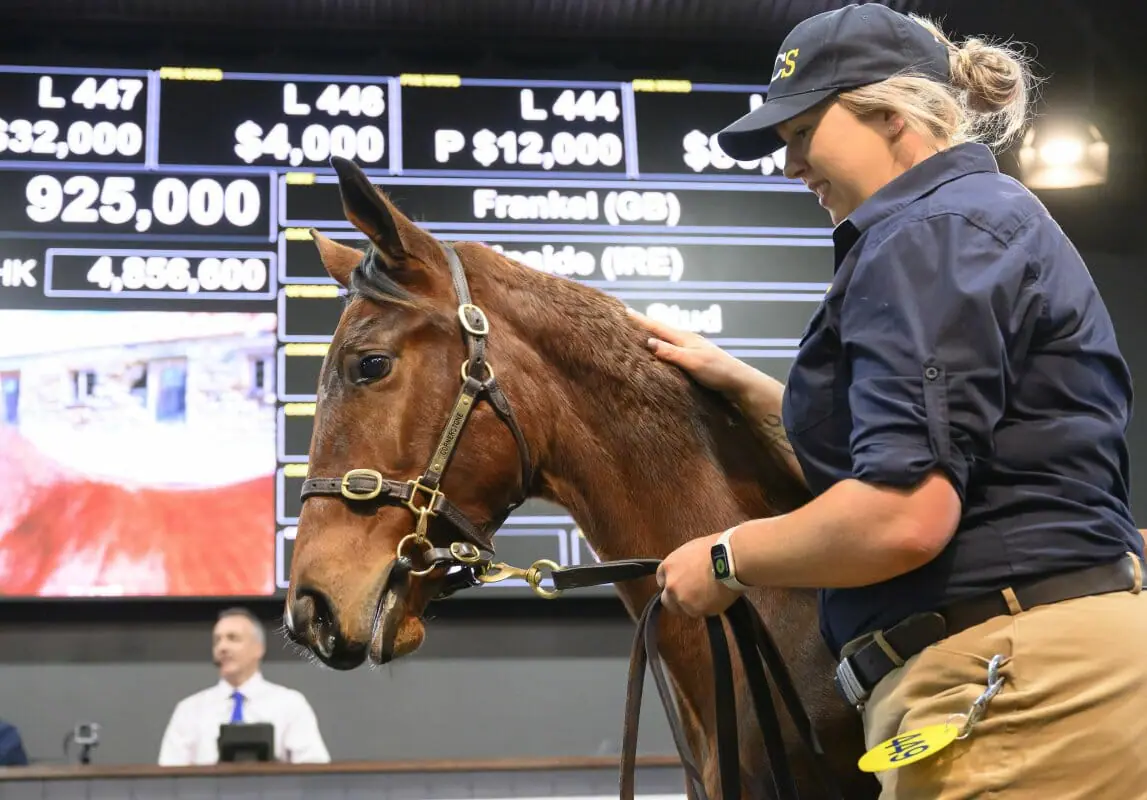 The top lot at last year's National Weanling Sale