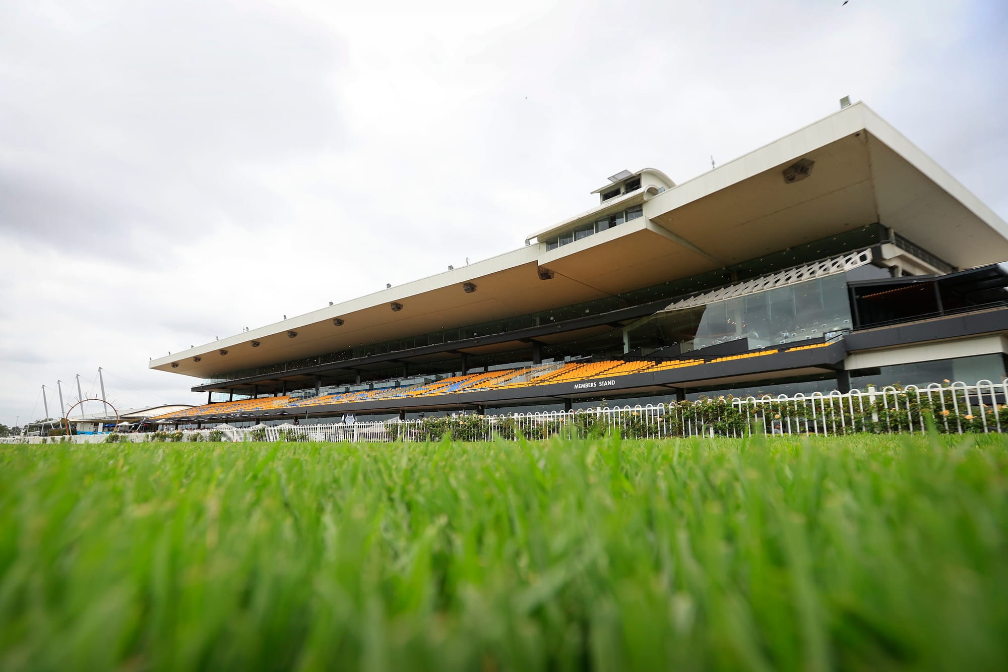 Rosehill racecourse 