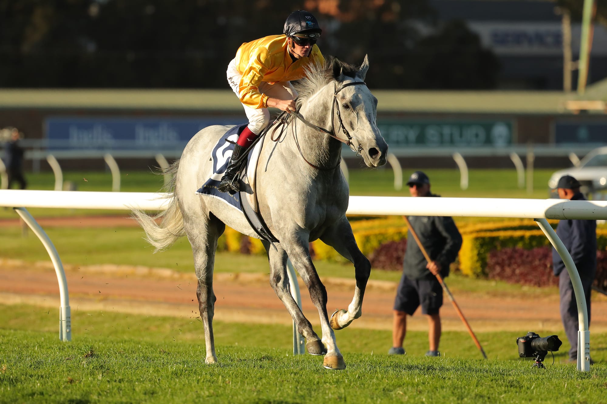 Boid D'argent is a Group 1 winner