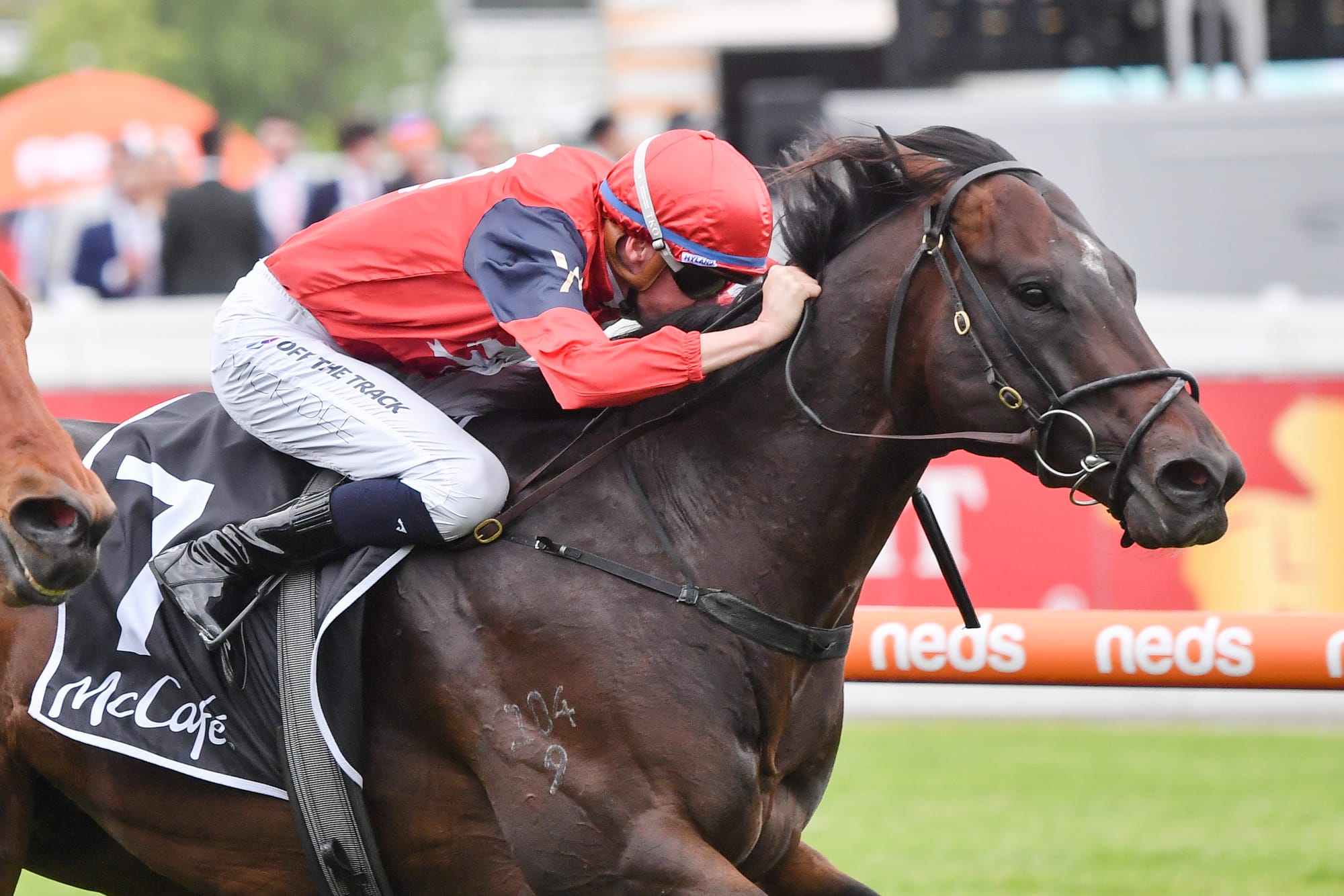 Doull is joining Rosemont Stud
