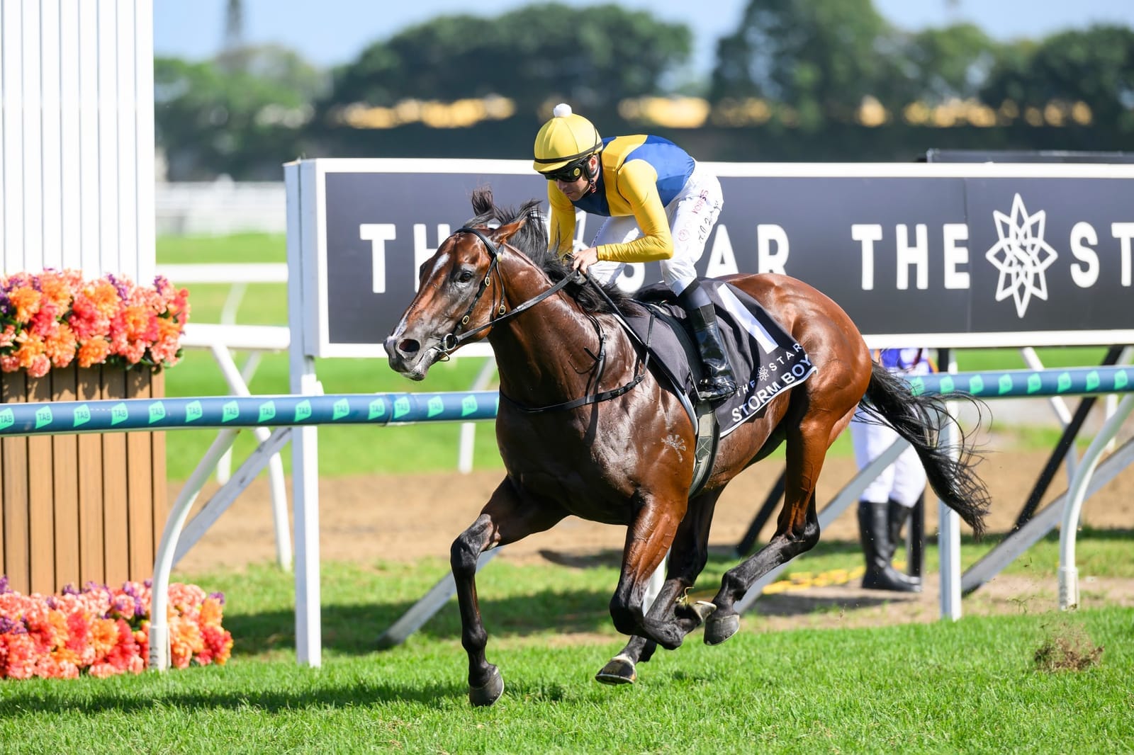 Gold Coast racetrack