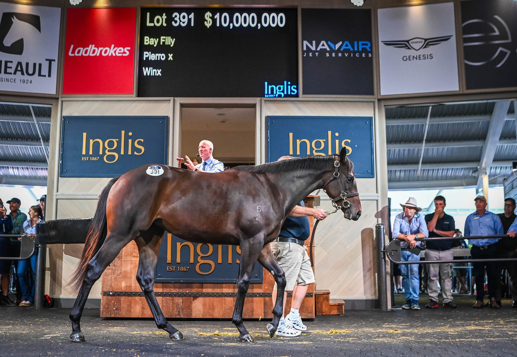 The $10 million filly by Winx out of Pierro