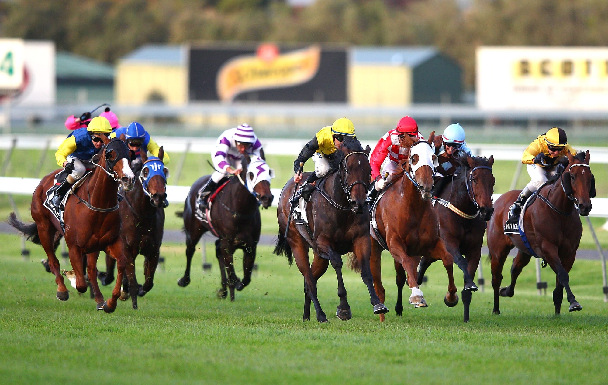 Racing contributes $500 million to the South Australian economy, according to an industry-commissioned report. (Photo by Mark Dadswell/Getty Images)