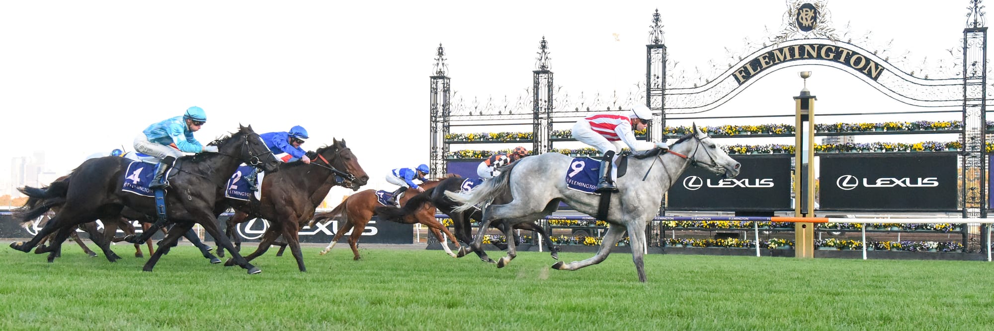 Right To Party winning at Flemington.