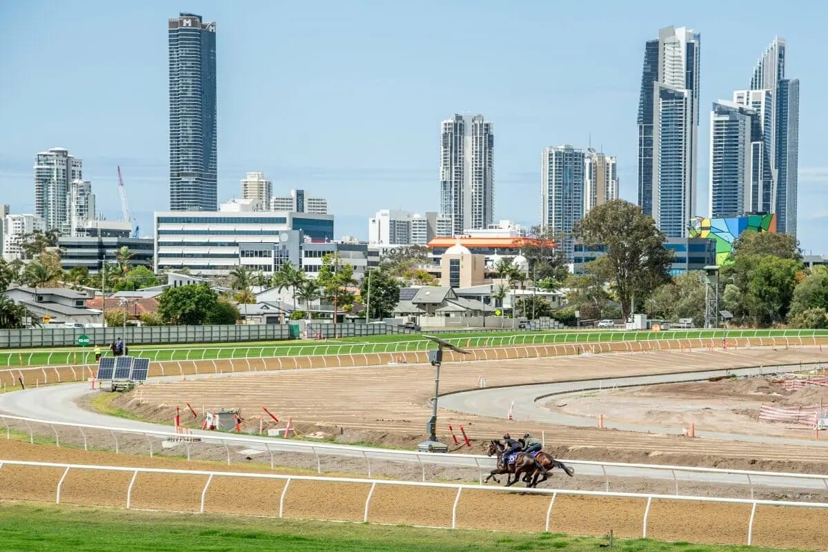 The Magic Millions Horses in Training Sale will have a format change (Photo: Magic Millions)