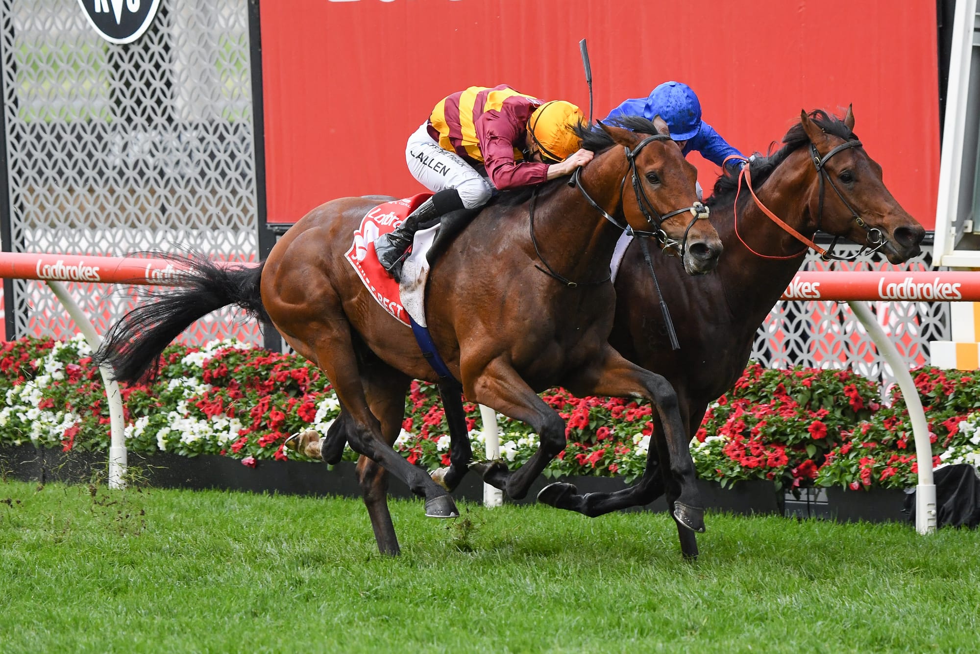 State Of Rest wins the Cox Plate in 2022.