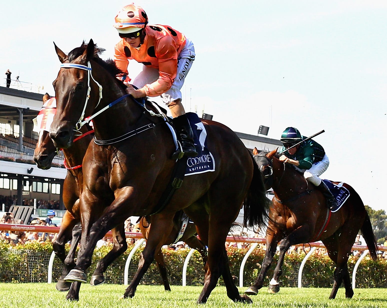  Black Caviar