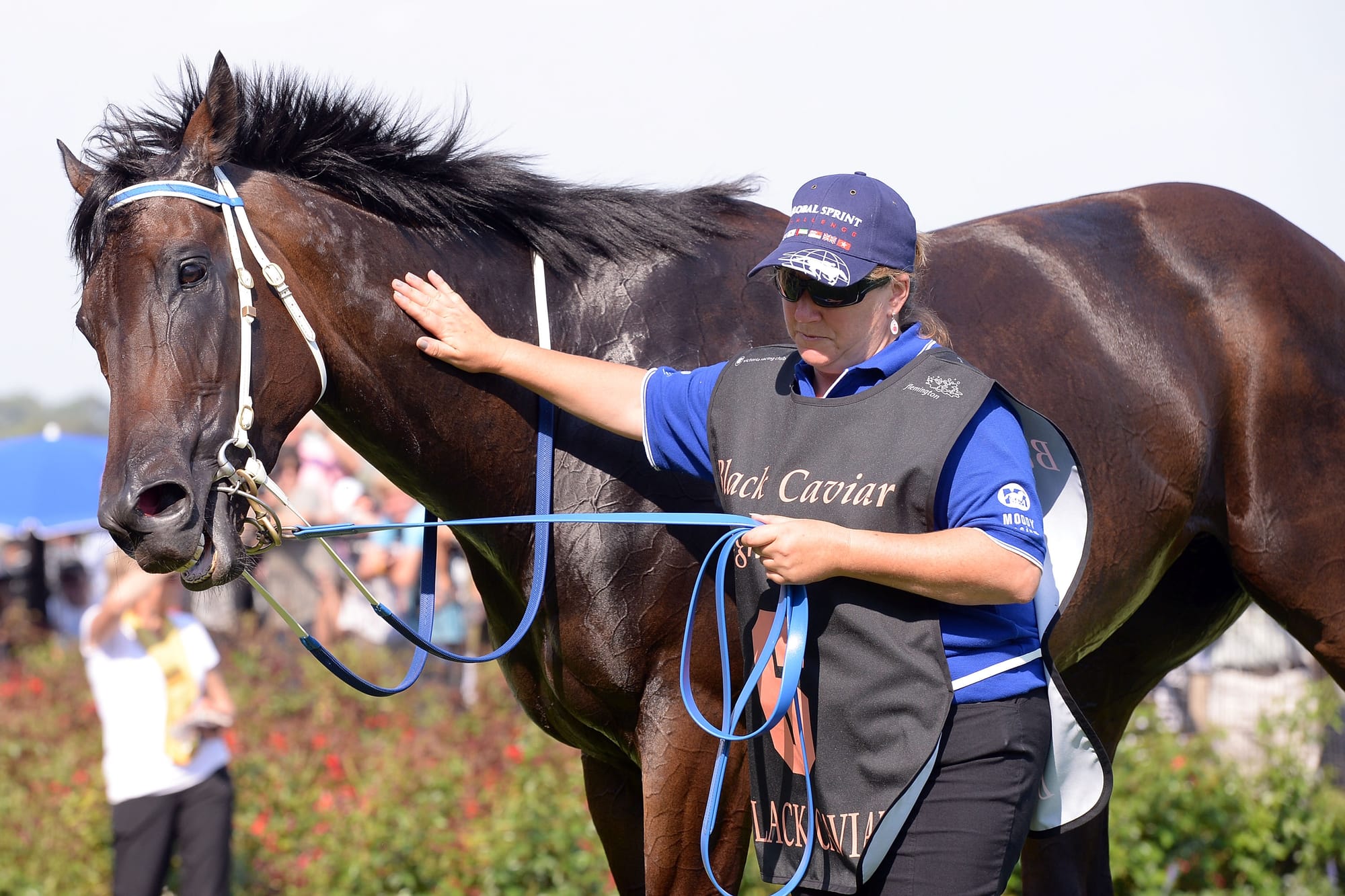 Donna Fisher with Black Caviar.