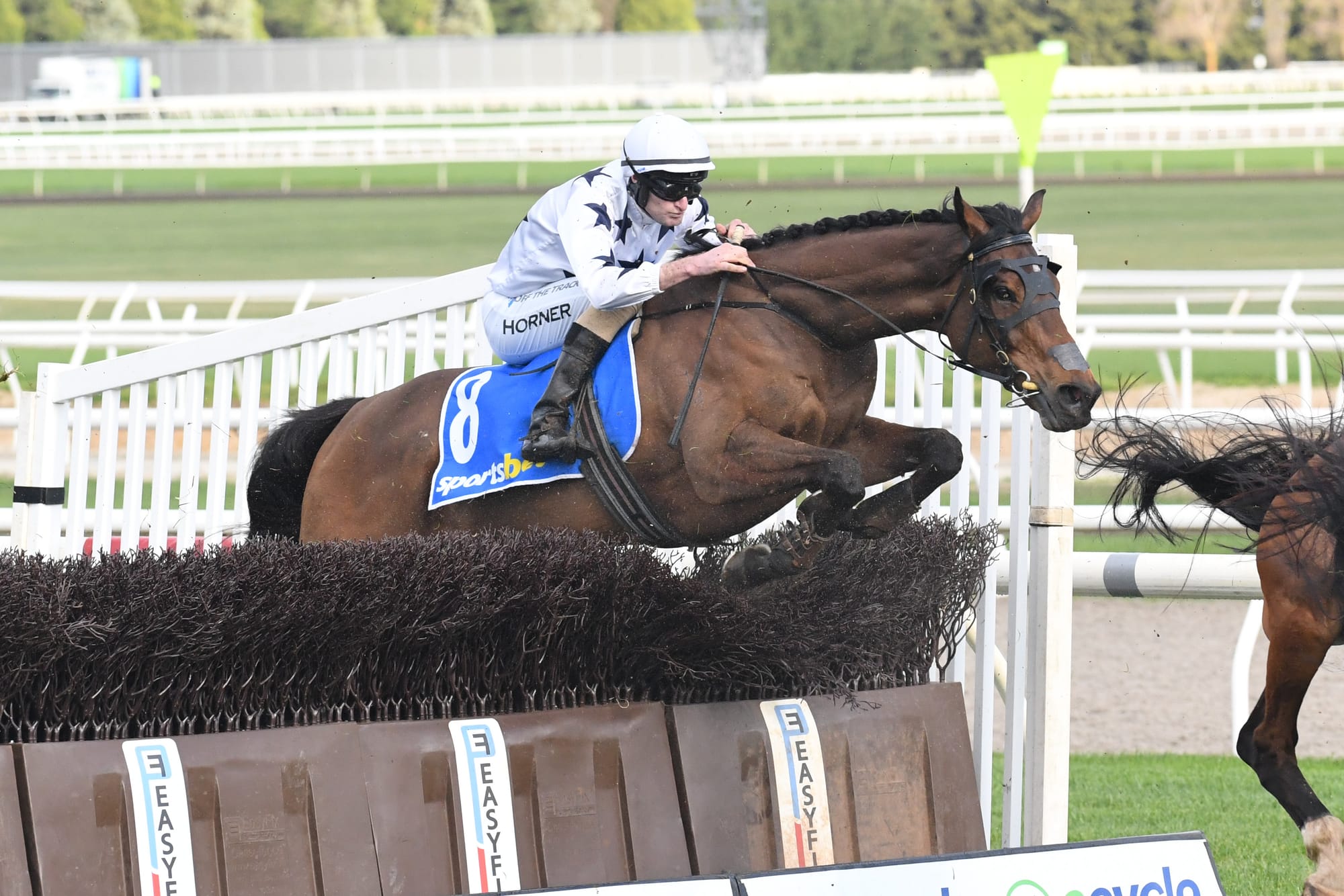 The Good Fight in the Grand National Steeplechase at Ballarat.