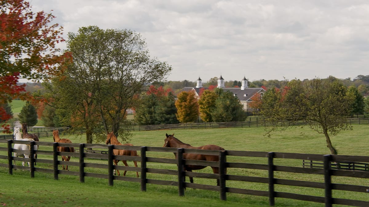 Adena Springs