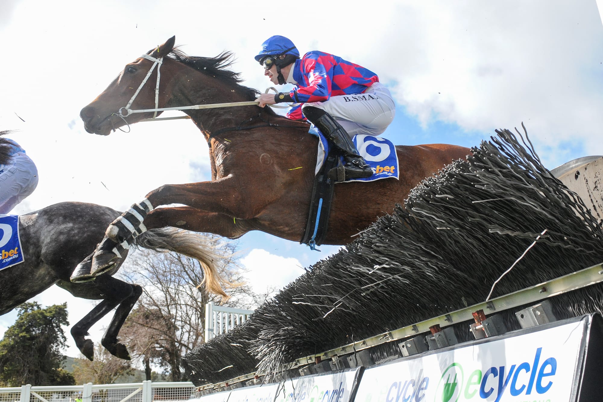 Jumps racing in Victoria