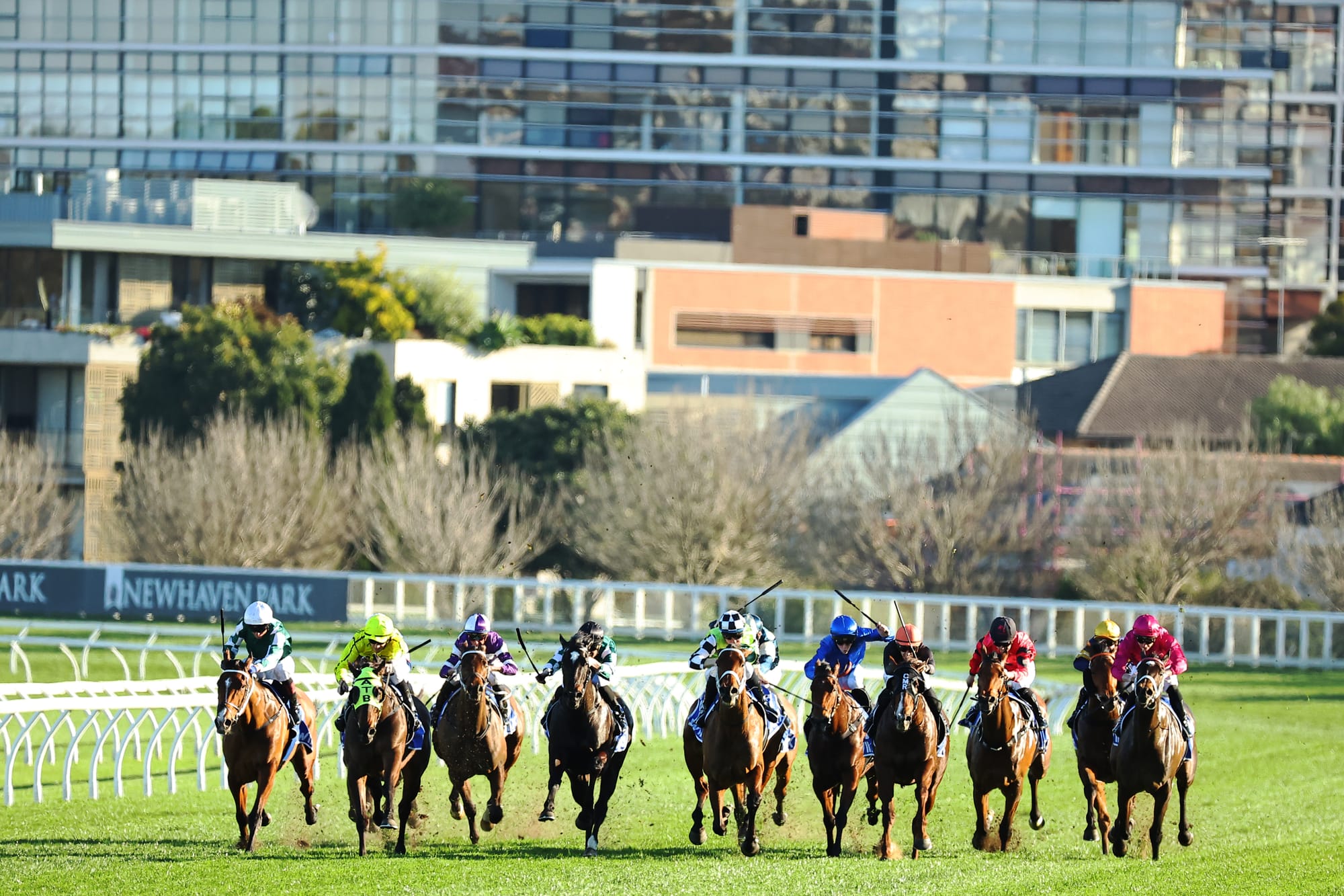 Winx Stakes finish