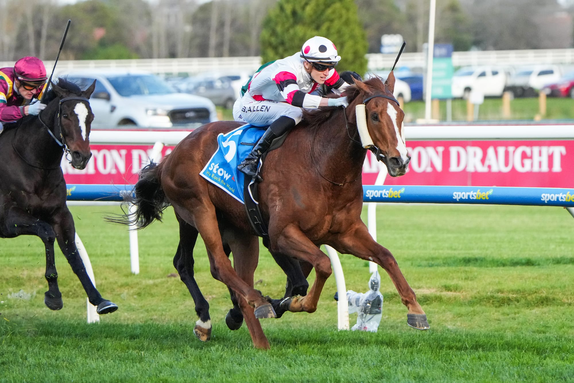 Pinstriped wins the Memsie Stakes.