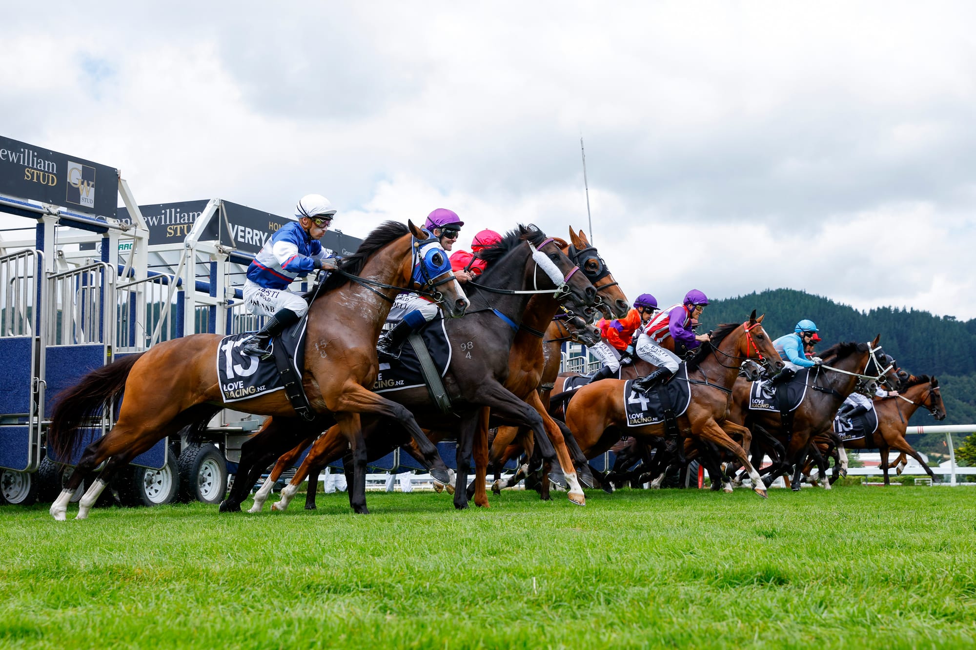 New Zealand racing