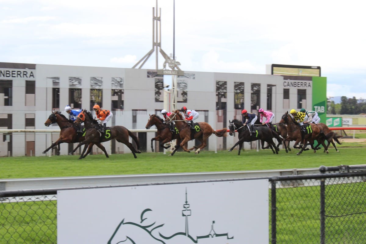 Thoroughbred Park