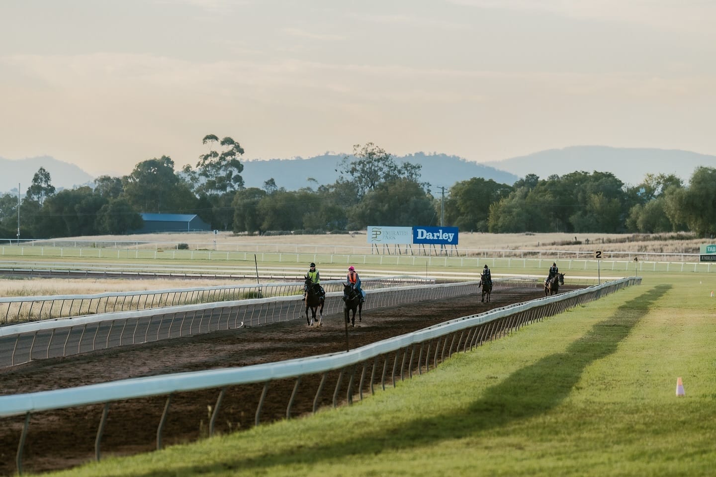 Scone Race Club 