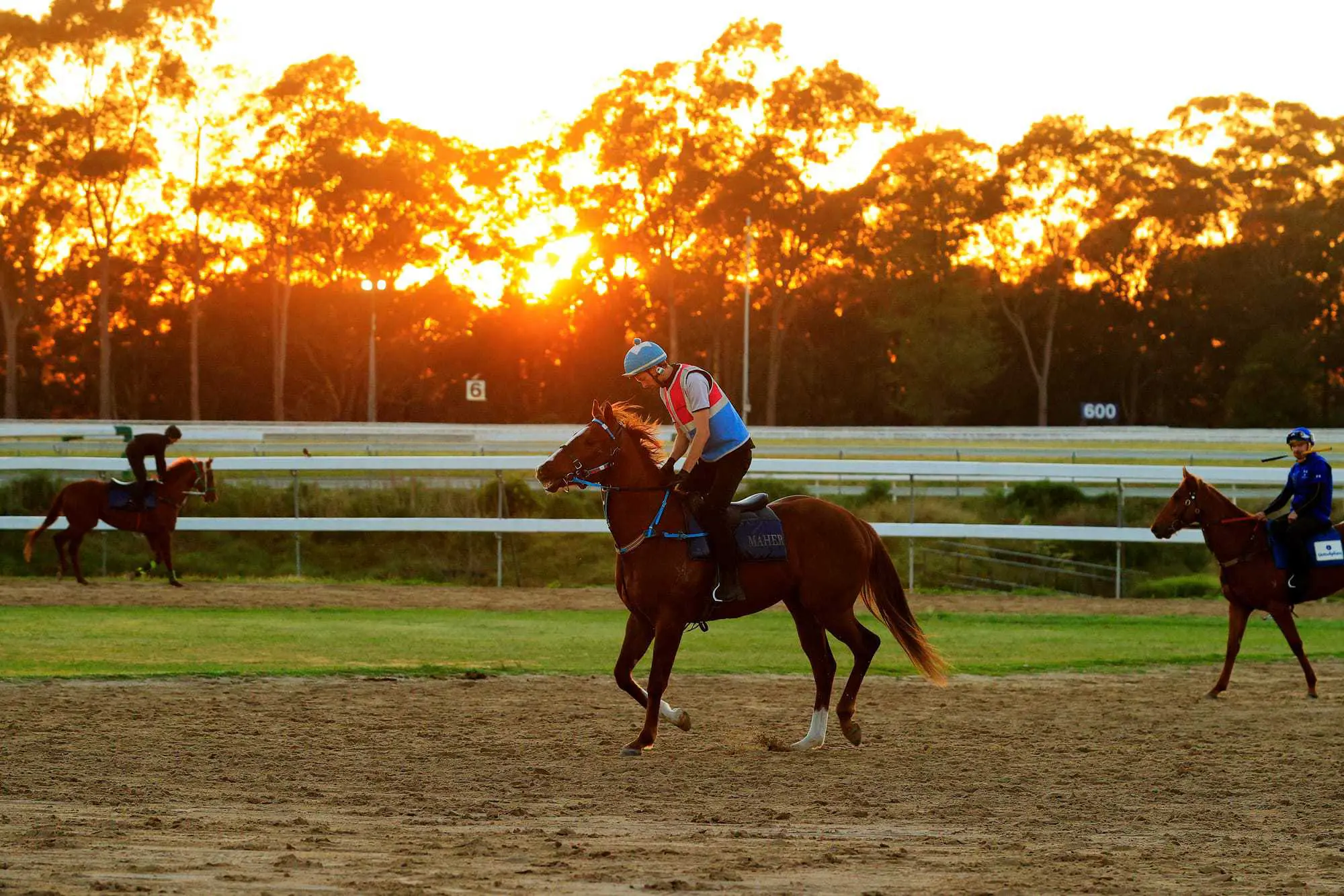 Warwick Farm