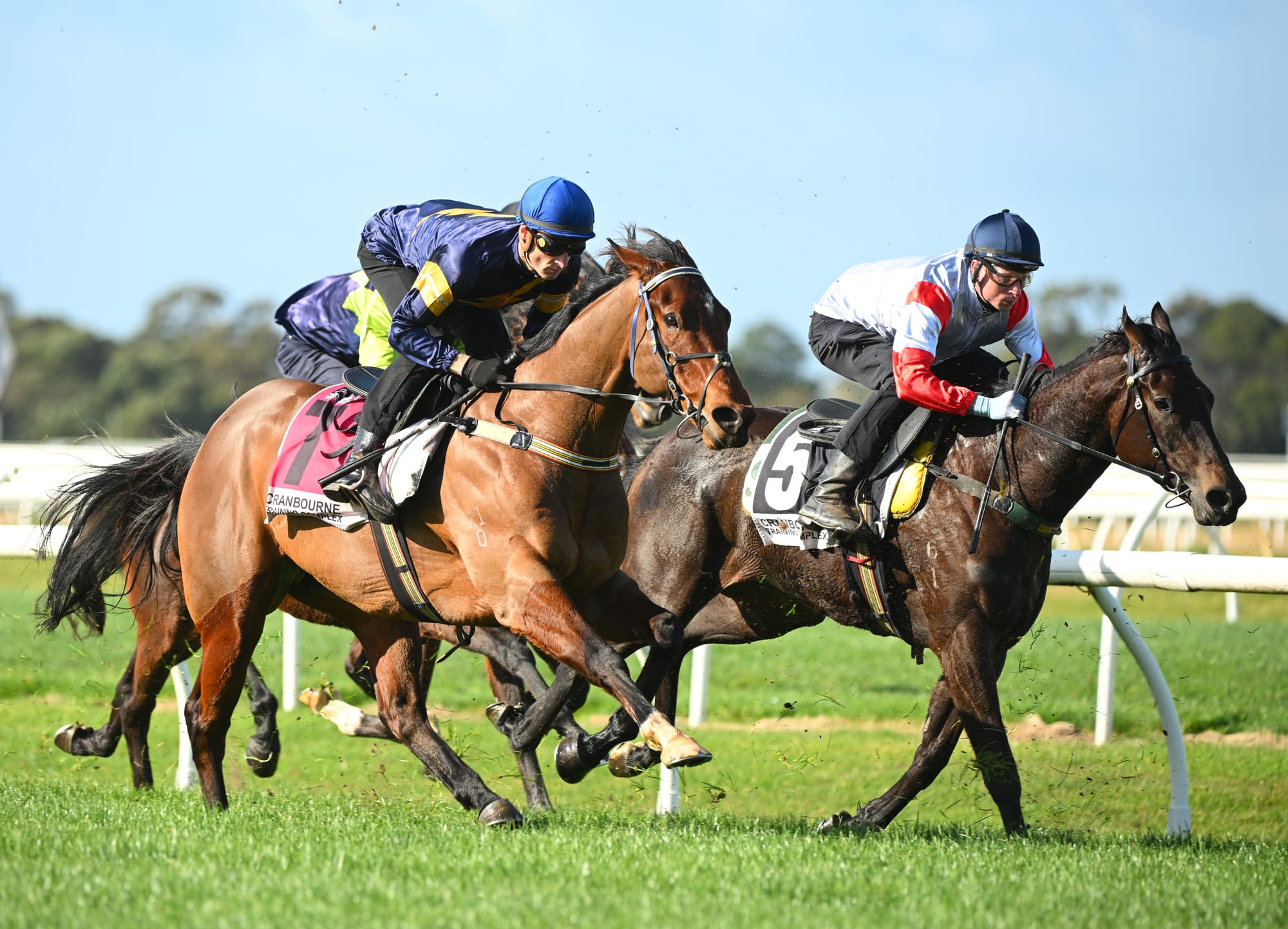 Victorian jumpouts