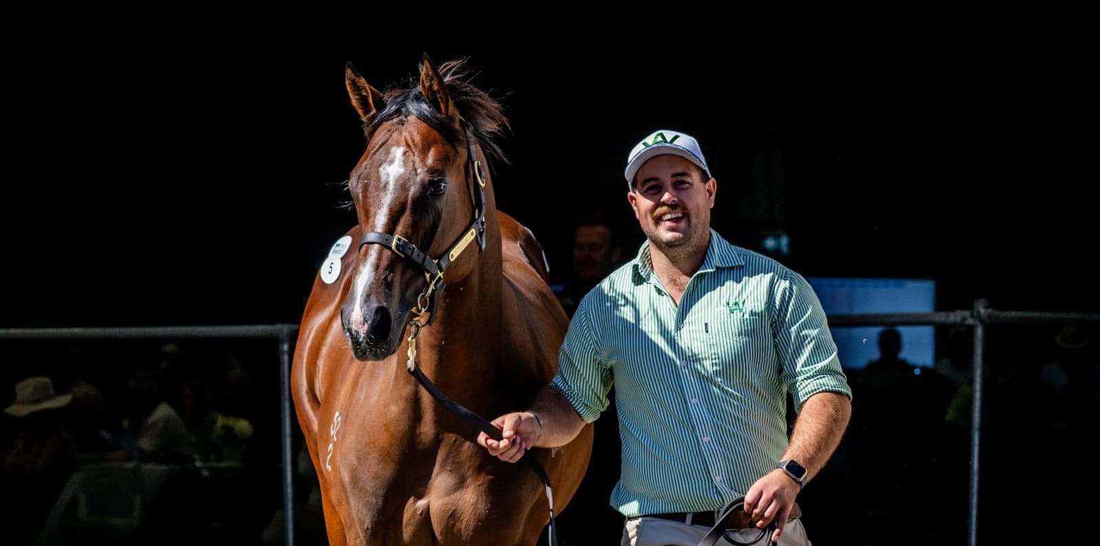 Magic Millions in Tasmania