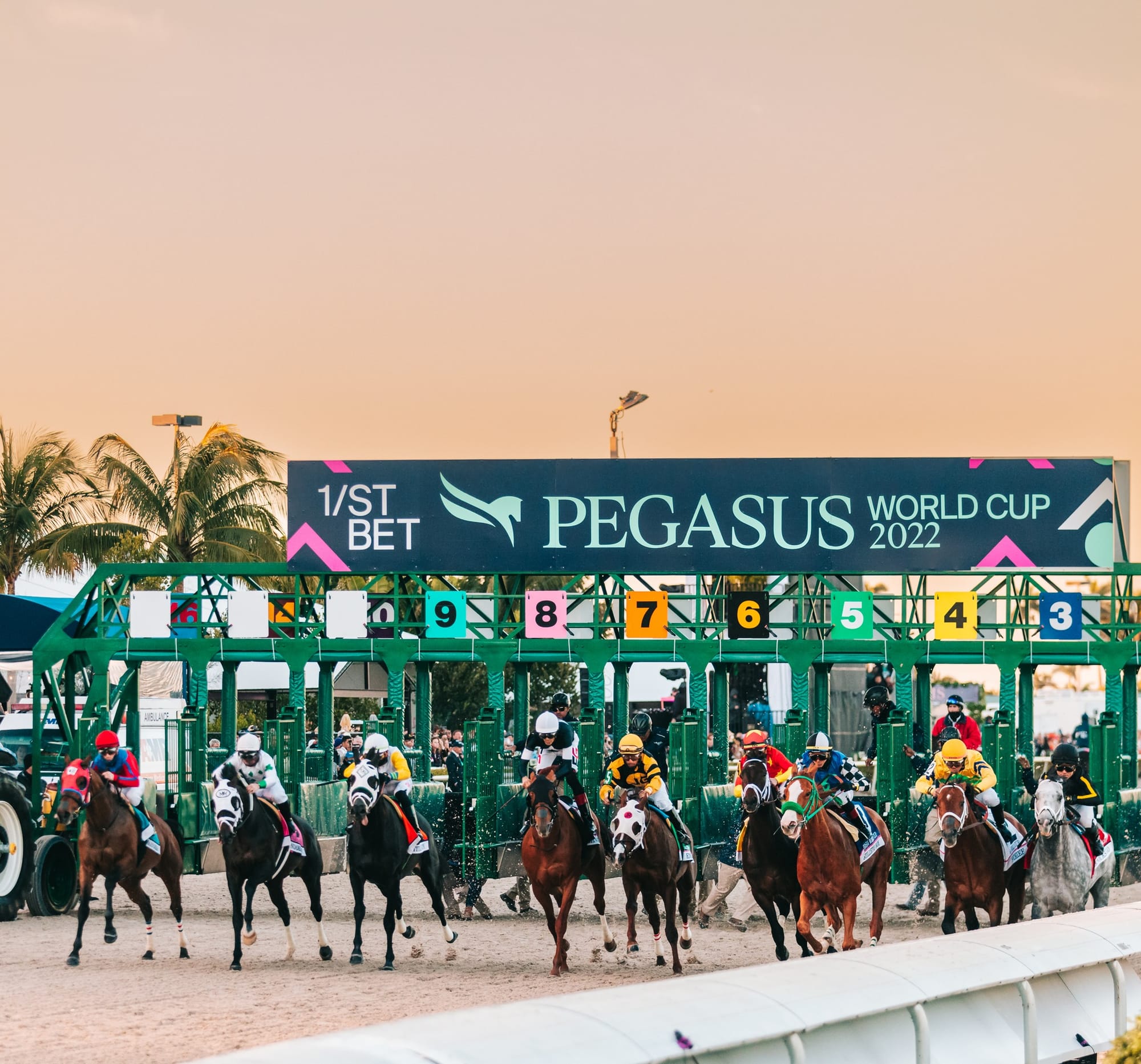 Pegasus World Cup