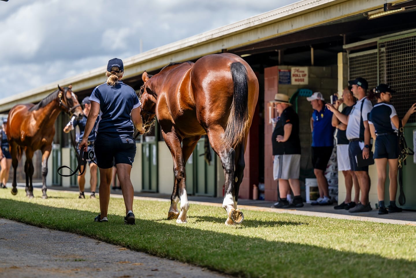 Magic Millions