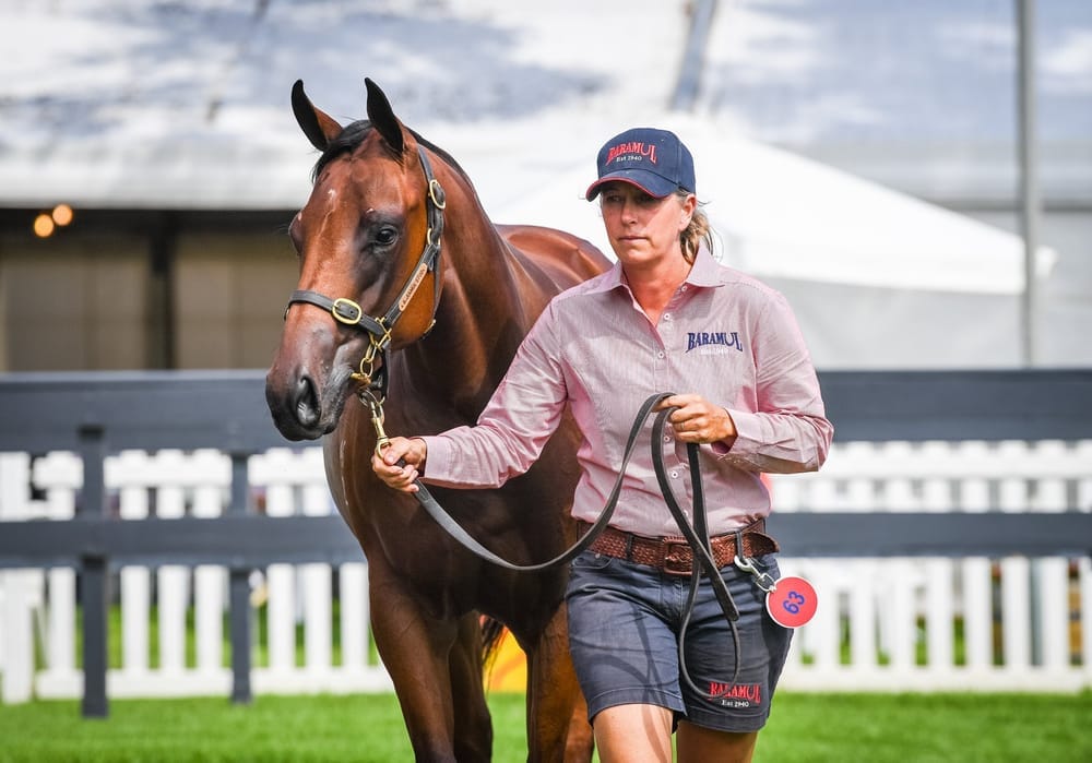 The I Am Invincible x Les Amoureux filly which topped the 2024 Adelaide Yearling Sale.