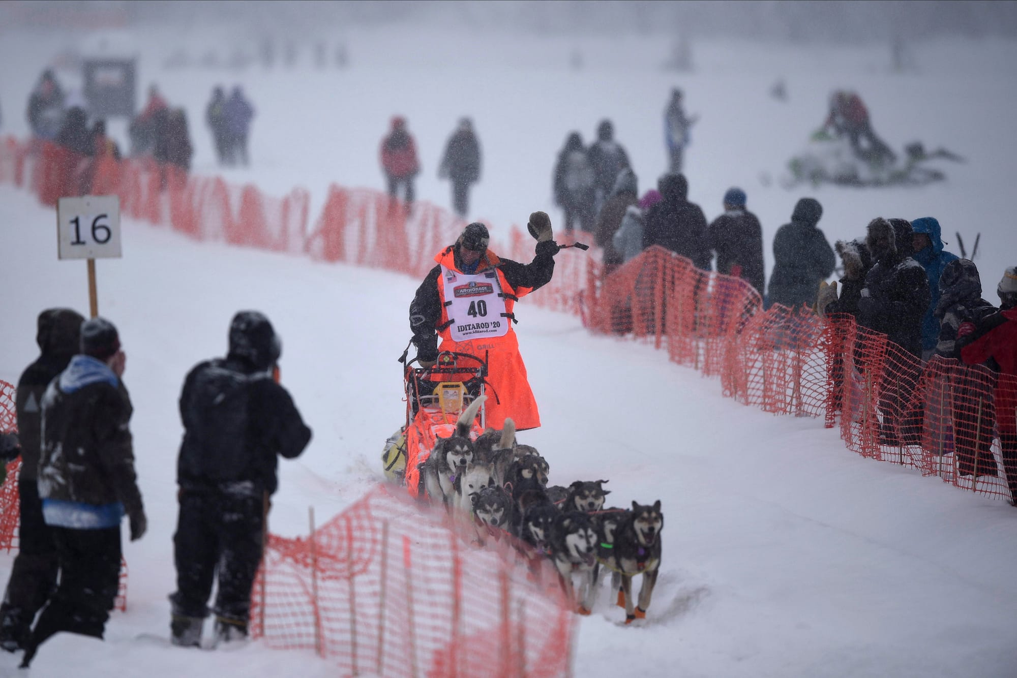 Dog sled racing