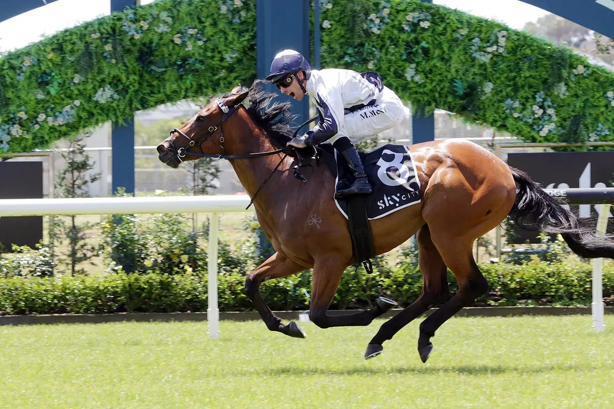 Karaka Millions 2YO