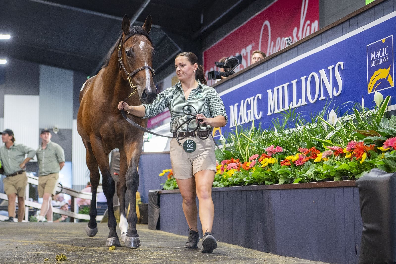 Magic Millions