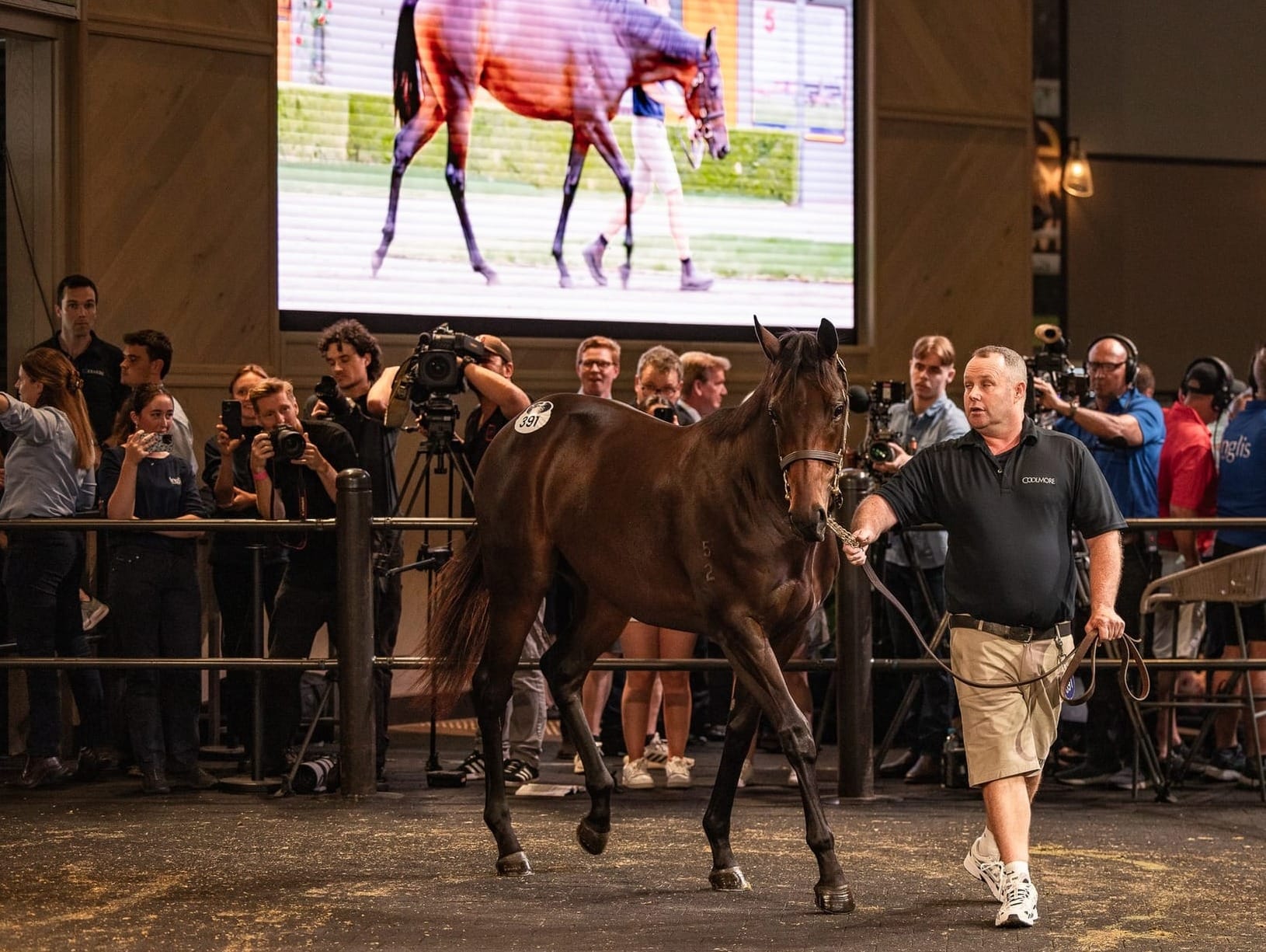 Winx x Pierro