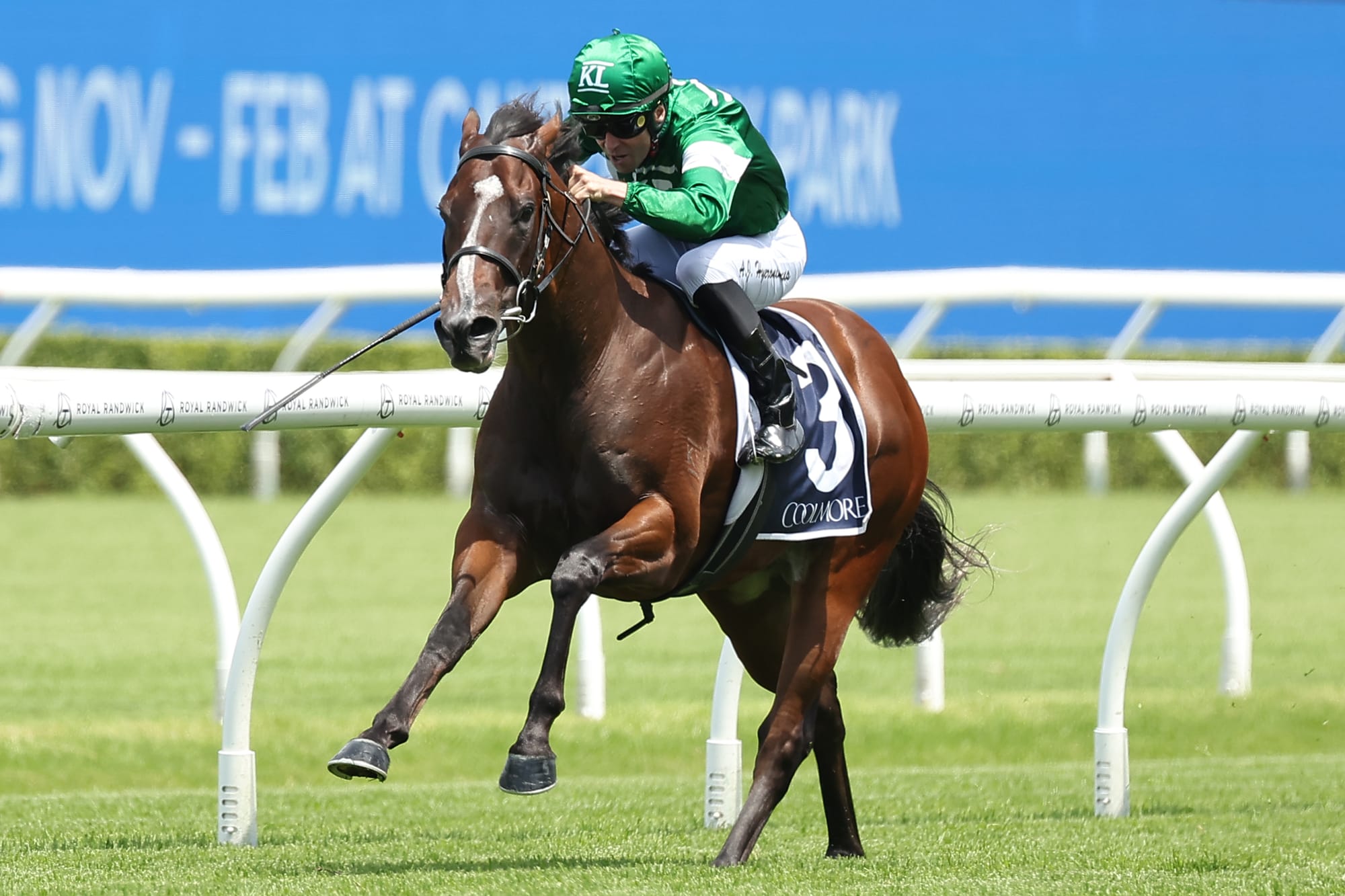 Shaggy races away to win the Pierro Plate at Randwick.