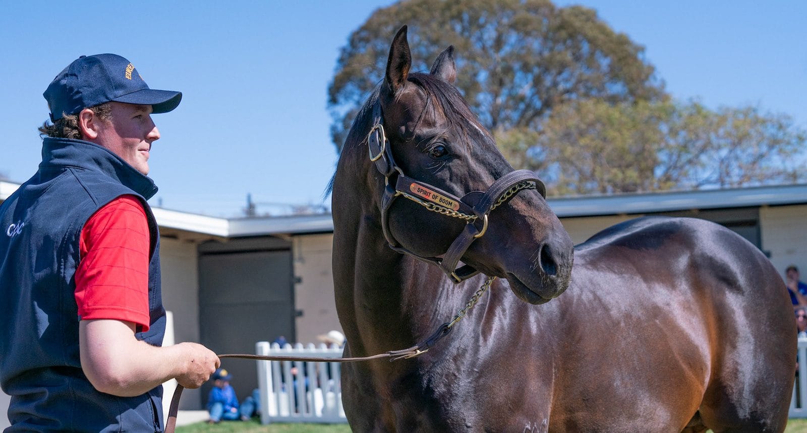 Eureka Stud's Spirit Of Boom