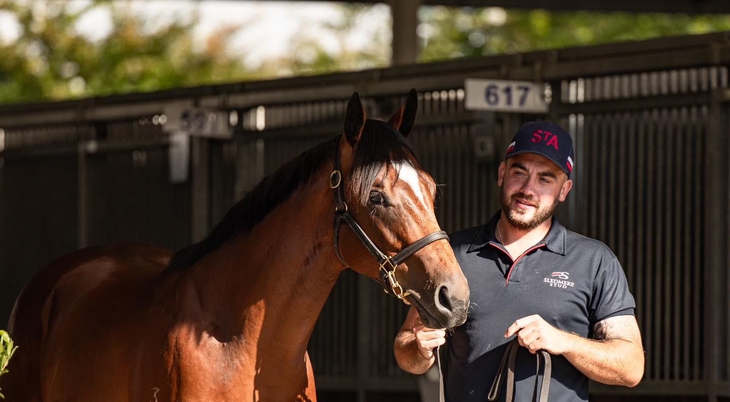 Yearling numbers