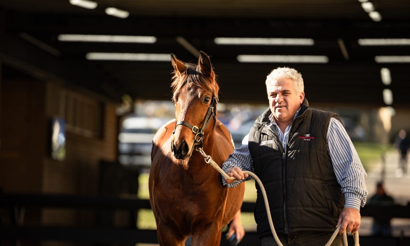 Weanling sale
