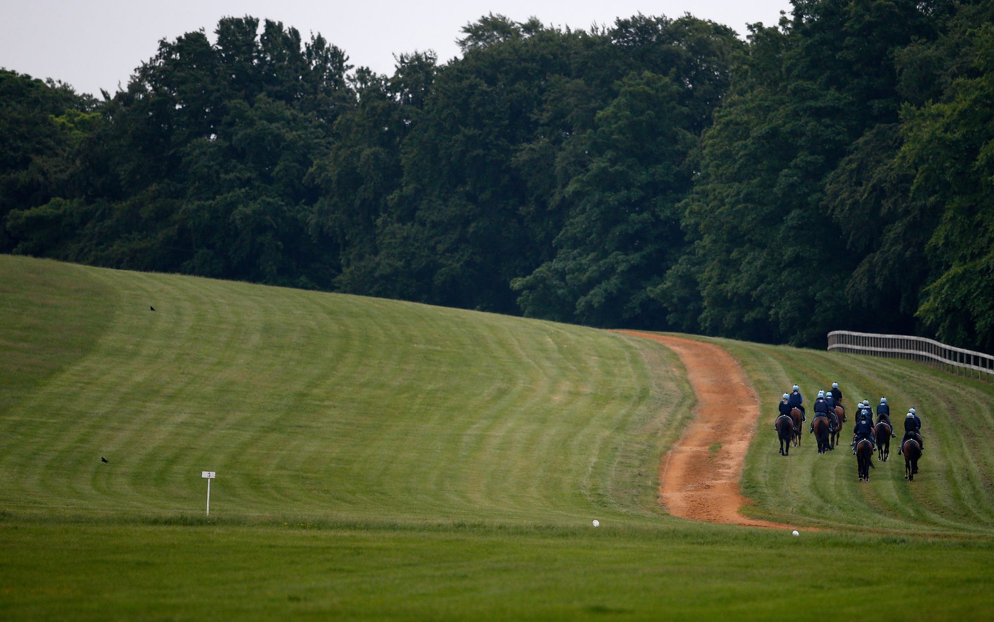Newmarket