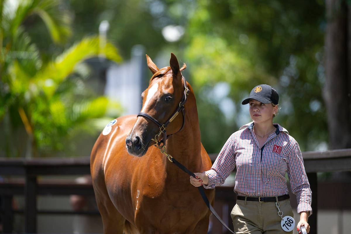 Esha sold for $900,000 as yearling 