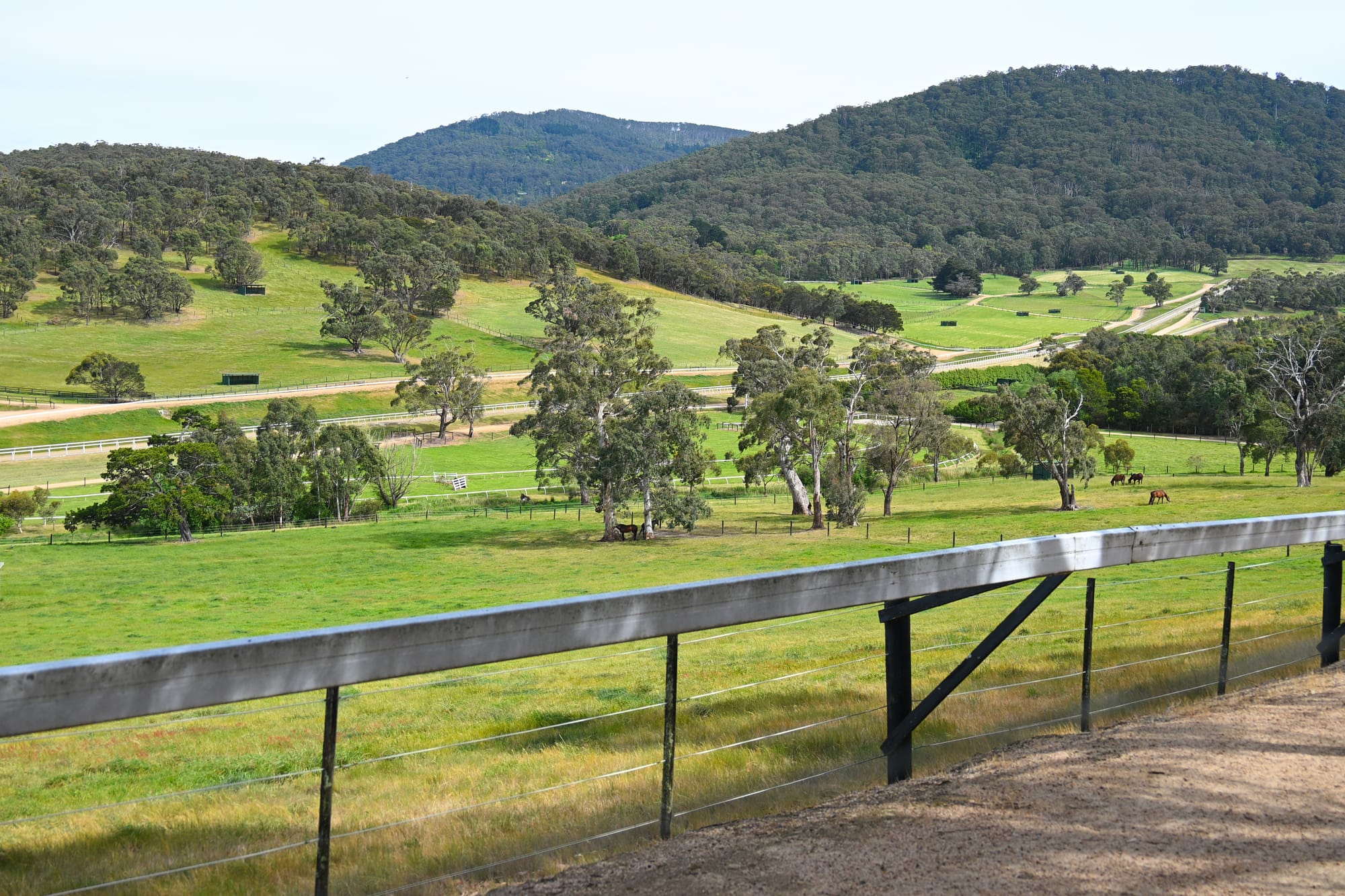 Macedon Lodge