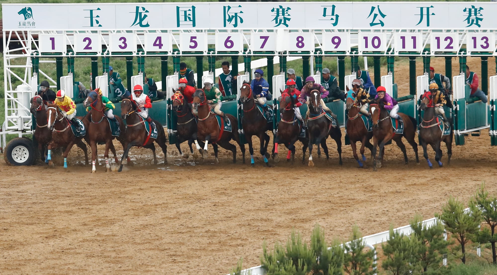 Yulong Park