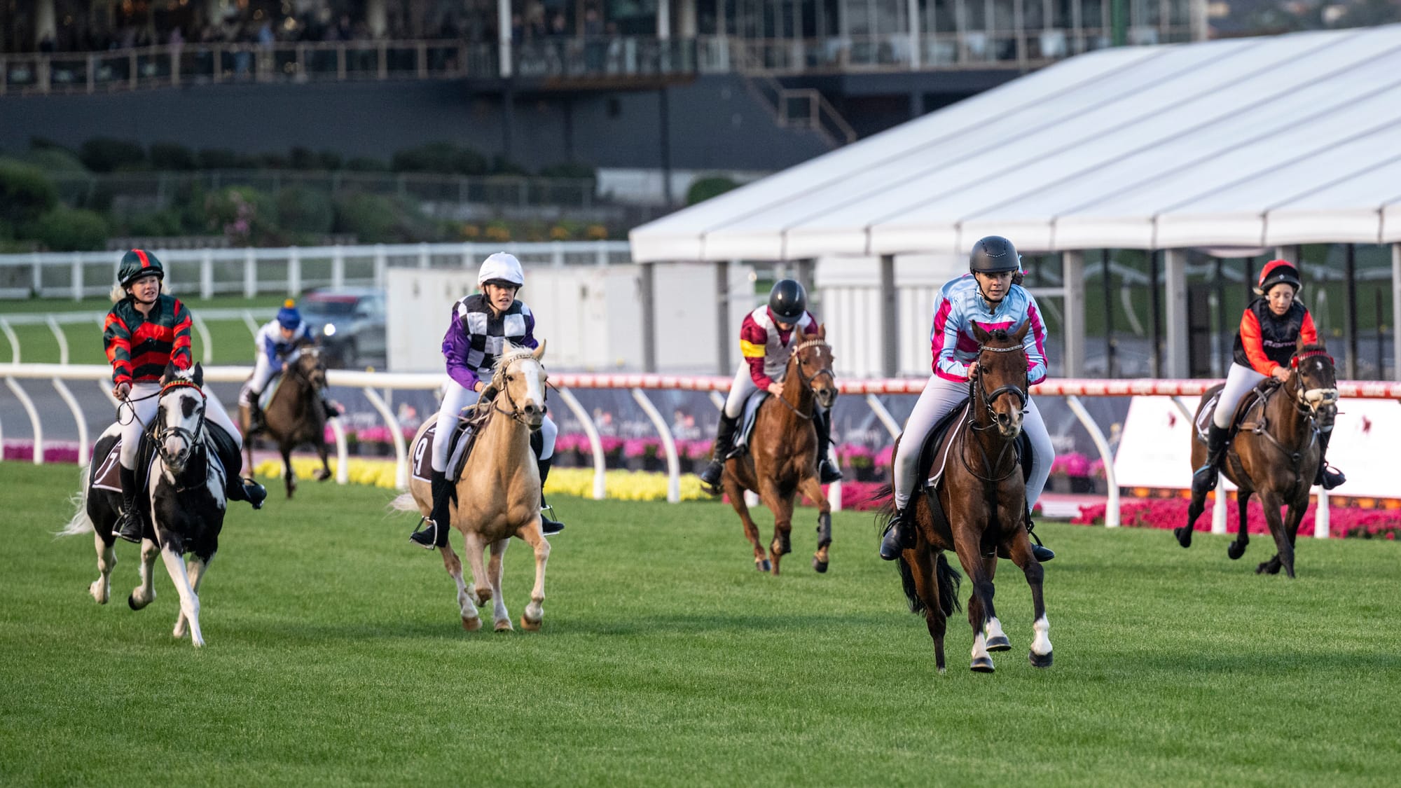 Pony Racing