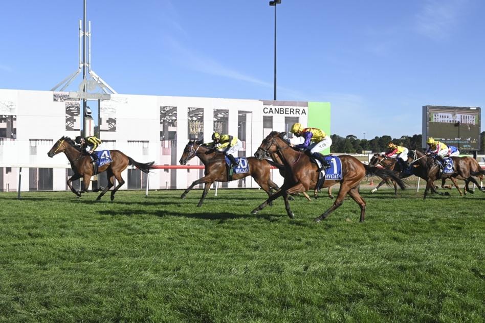 Canberra racing