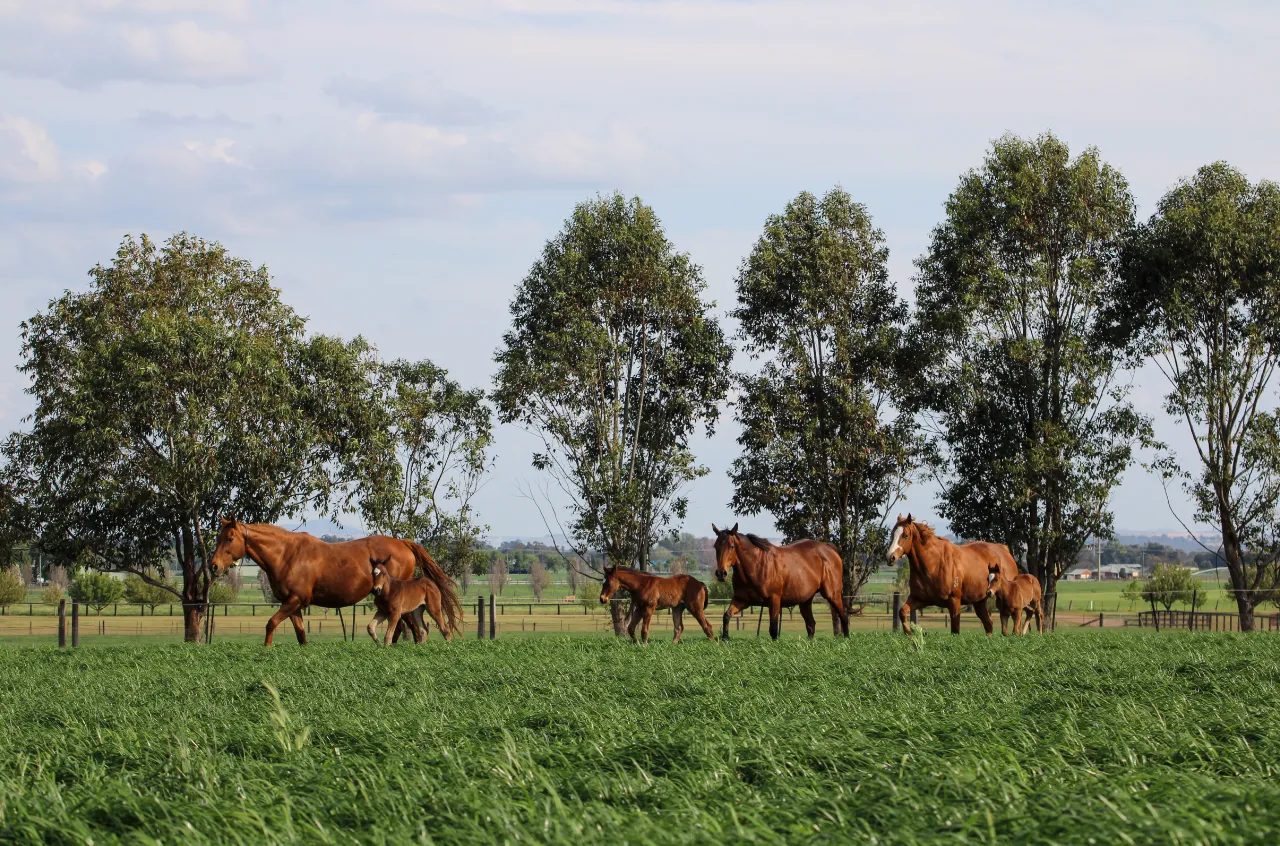 Ridgmont Farm
