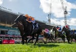 Black-type winners join Imperatriz as part of Magic Millions supplementary list