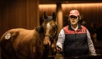 Frankel filly leads the way at Great Southern