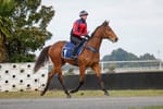 New Zealand’s TAB Racing Club off and running