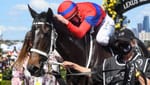 ‘Crikey, a Melbourne Cup horse was bred here ... that’s cool’ - Final chapter still to come for Zed