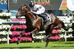 ‘Slipping through the cracks’: Caballus’ journey to Group 1 racing